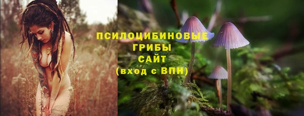 гидра Яровое