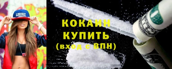 гидра Яровое